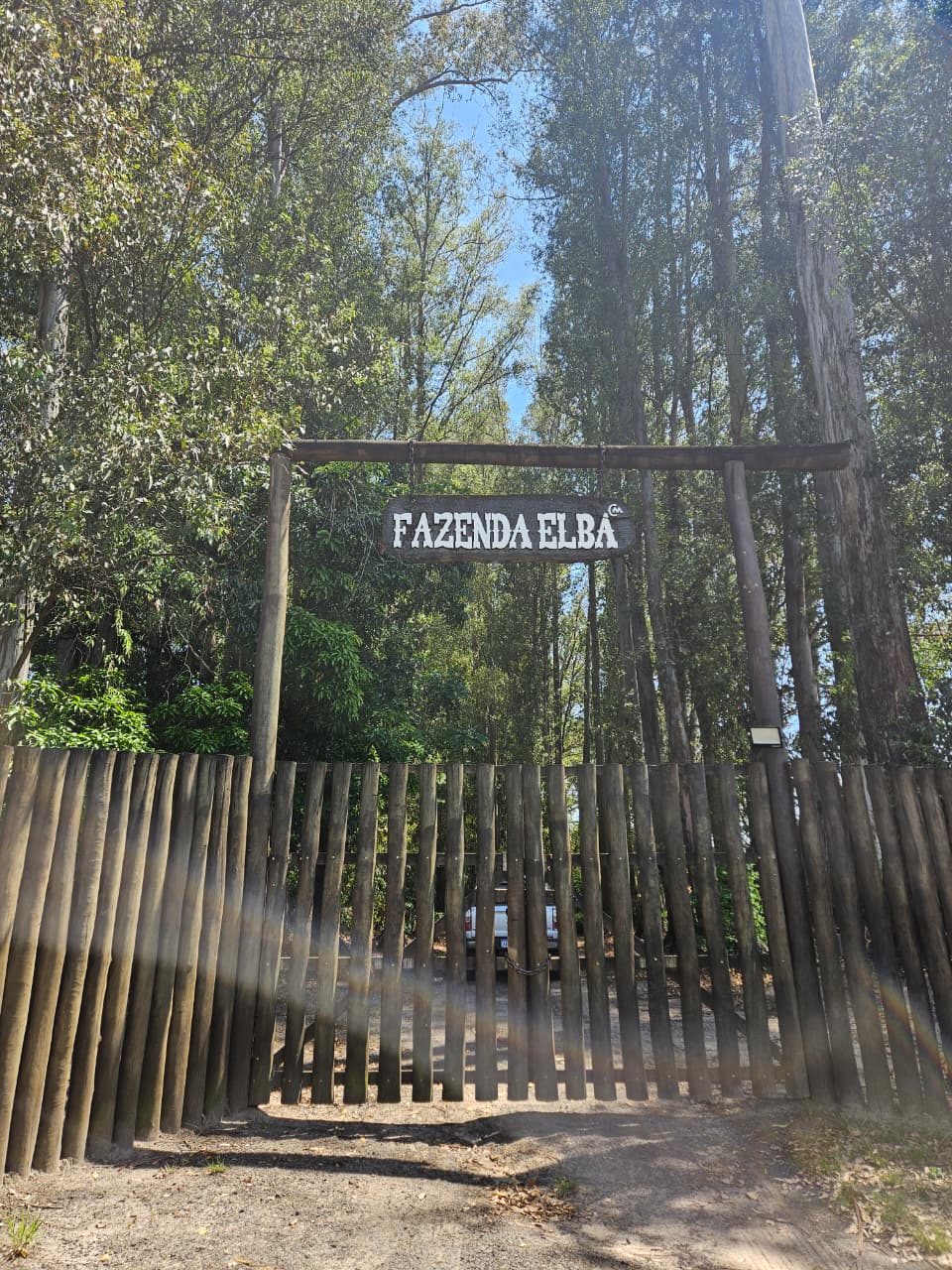 WhatsApp Image 2025-10-16 at 16.23.56 (1)