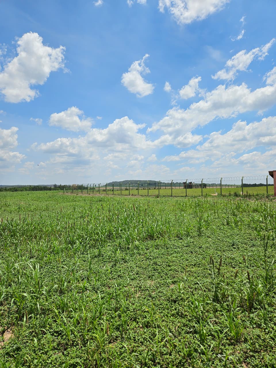 WhatsApp Image 2025-10-16 at 16.24.09 (1)