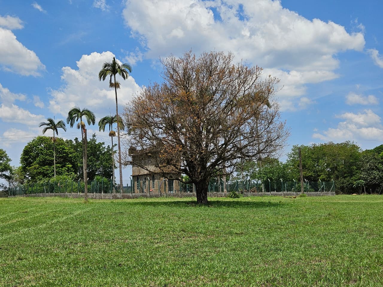 WhatsApp Image 2025-10-16 at 16.26.24