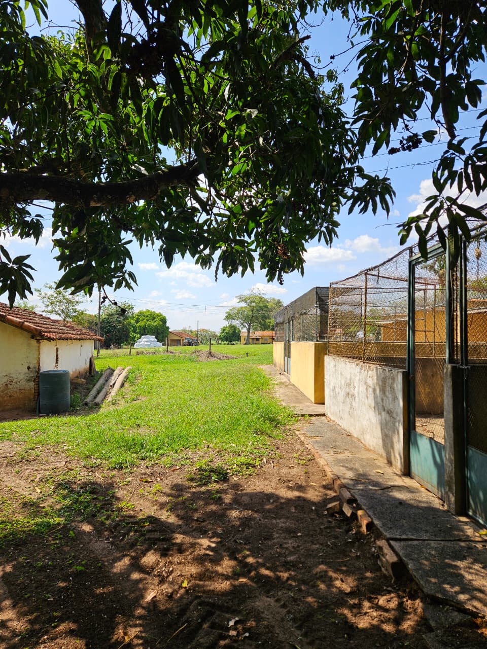 WhatsApp Image 2025-10-16 at 16.26.44