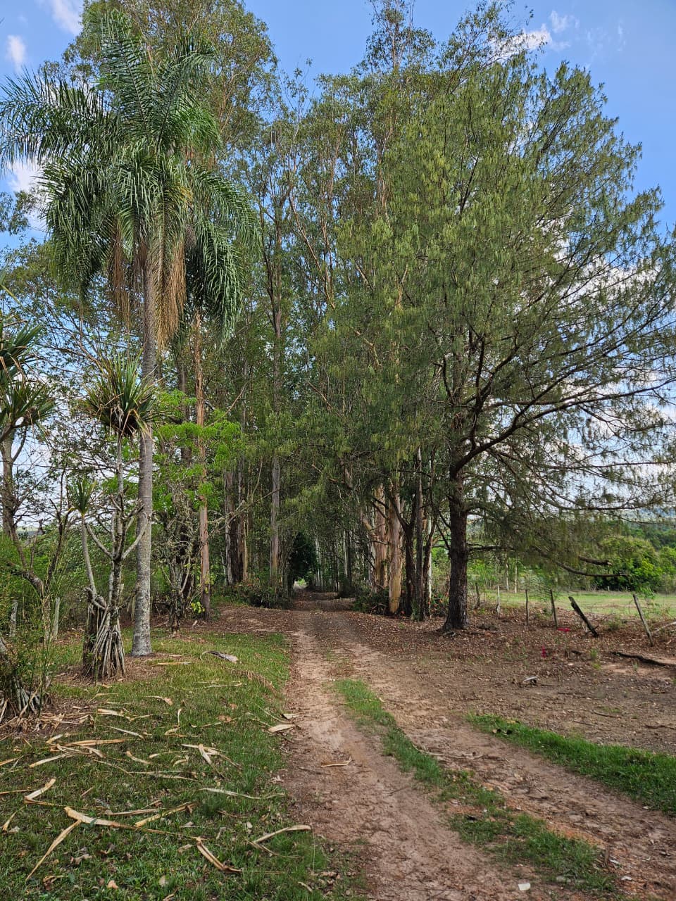 WhatsApp Image 2025-10-16 at 16.26.51 (1)