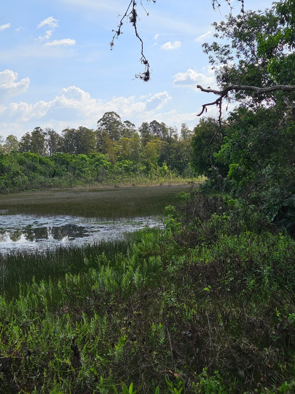 WhatsApp Image 2025-10-16 at 16.27.55 (1)