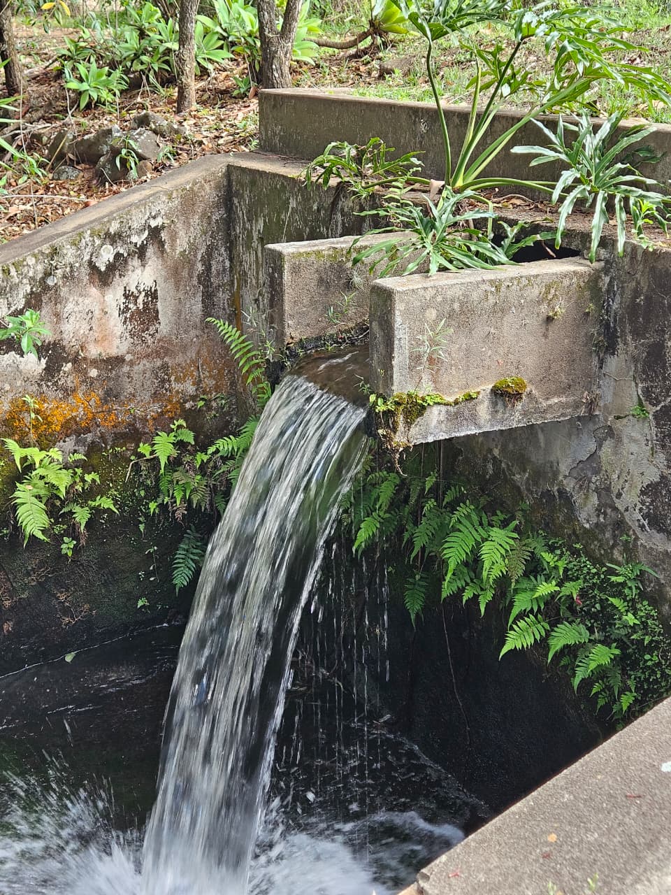 WhatsApp Image 2025-10-16 at 16.27.56