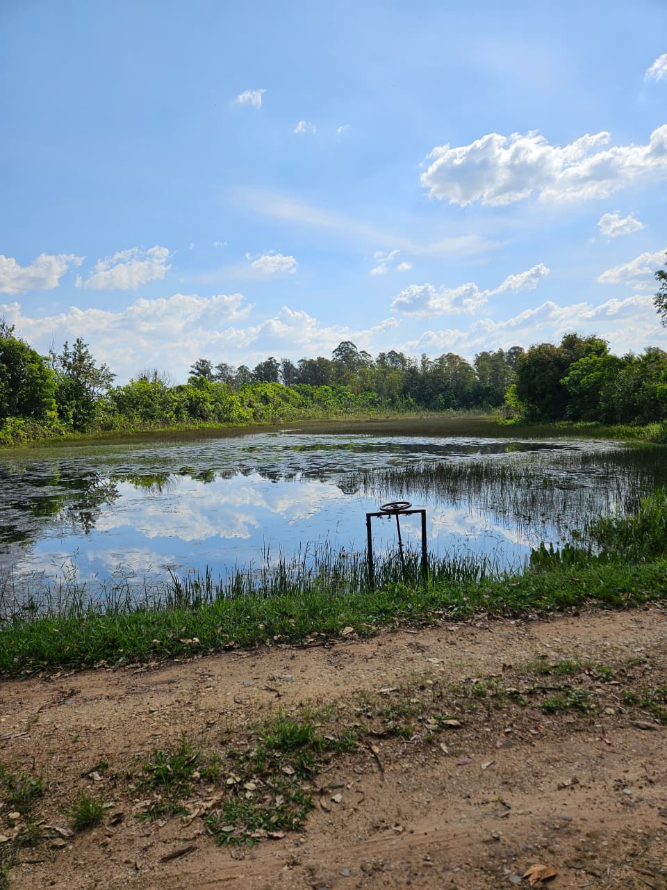 WhatsApp Image 2025-10-16 at 16.27.58 (1)