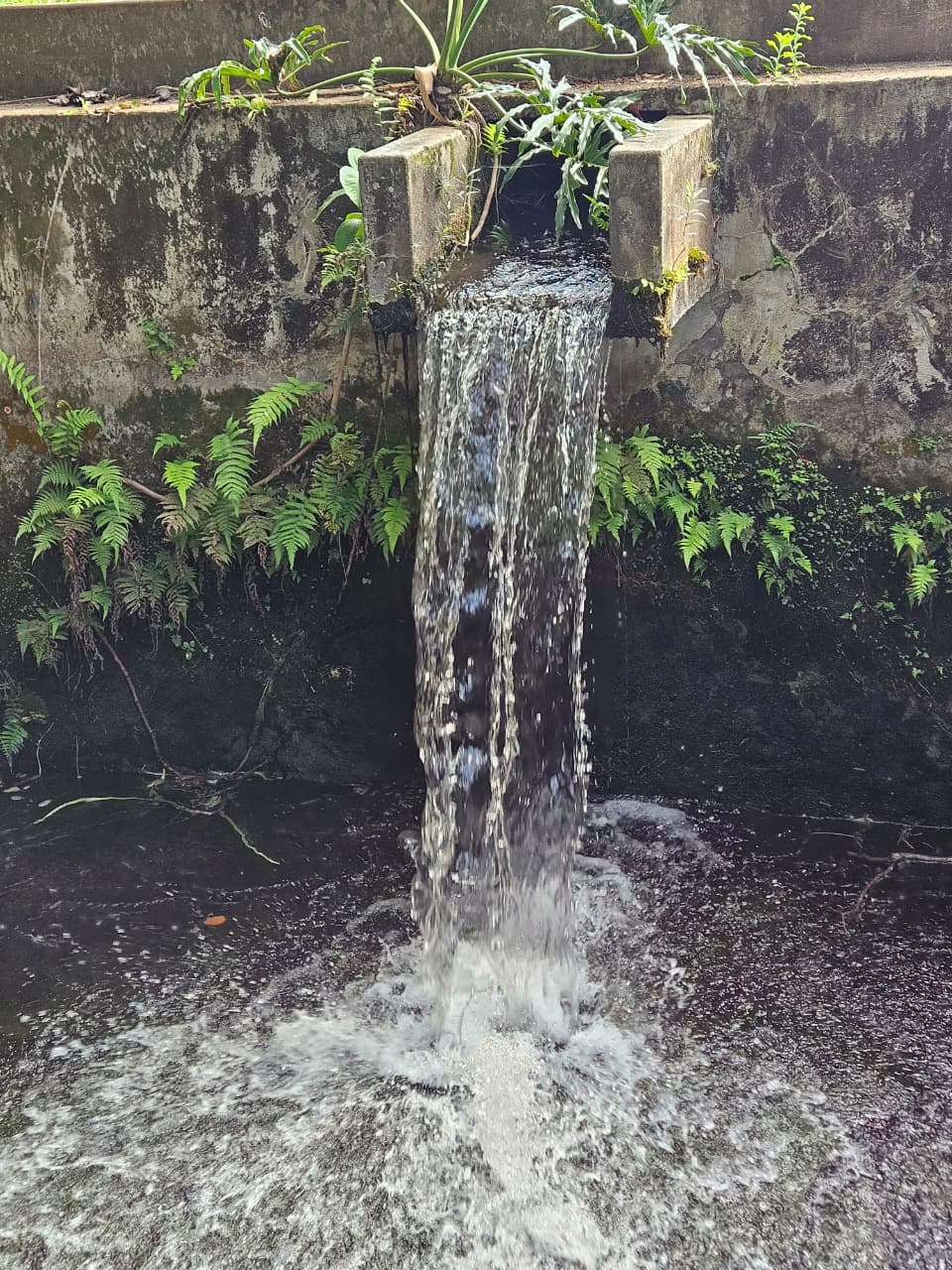 WhatsApp Image 2025-10-16 at 16.27.58